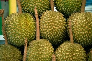 jackfruit næringsinnhold og vitaminer